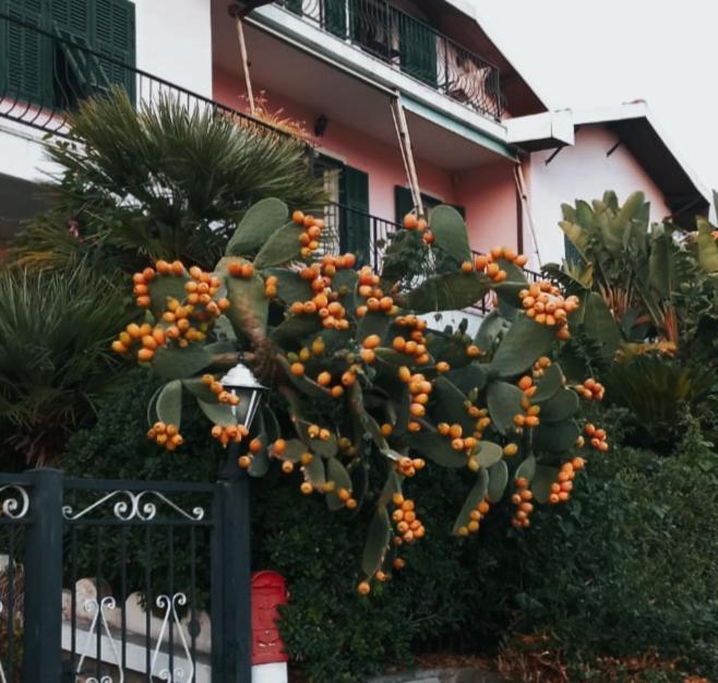 Giardino Miramare Citra Zero Zero Ottanta Trentuno Lt 0737 Apartment Imperia Bagian luar foto